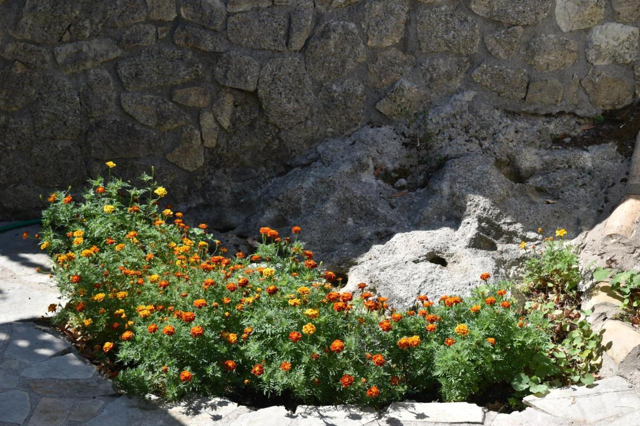 Asprogerakata Estate Dafnopanagia Villa Magda מראה חיצוני תמונה